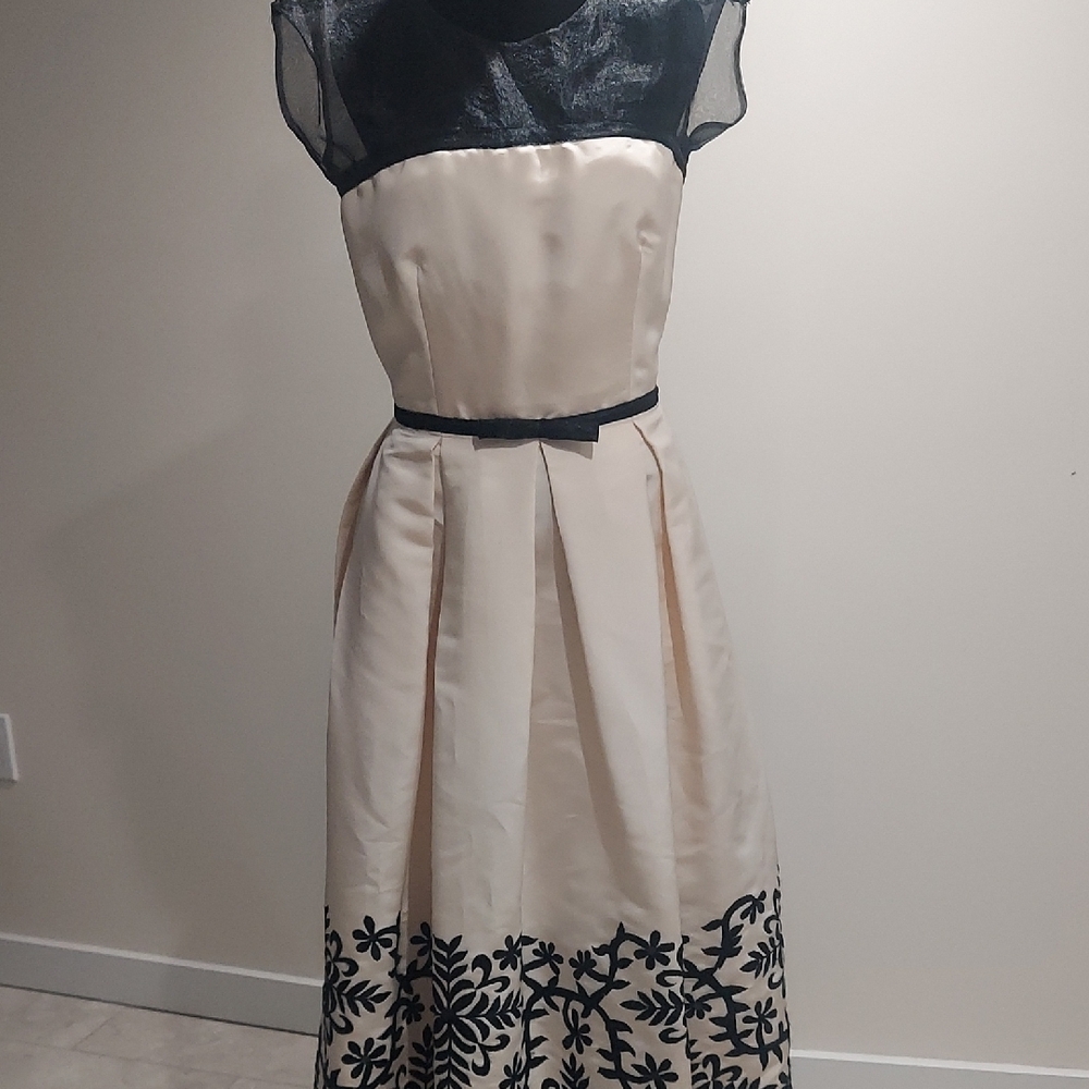 Elegant Black and Cream Dress